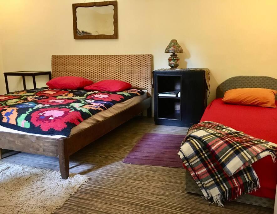 Vintage Studio Apartment, Garden And Free Parking Budapest Esterno foto