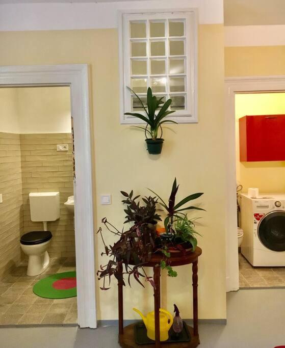 Vintage Studio Apartment, Garden And Free Parking Budapest Esterno foto