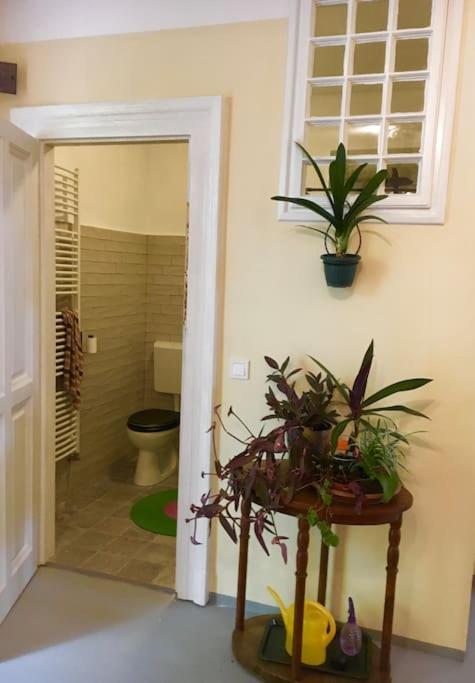 Vintage Studio Apartment, Garden And Free Parking Budapest Esterno foto